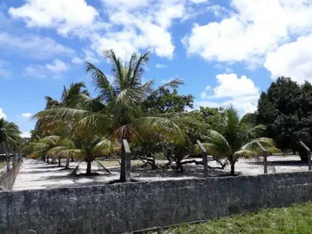 Sítio e chácara venda em Região Geográfica Imediata de João Pessoa, Região Metropolitana de João Pessoa