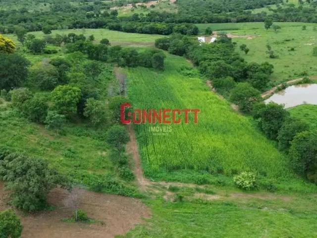 Sítio e chácara venda em Região Geográfica Imediata de Governador Valadares, Governador Valadares