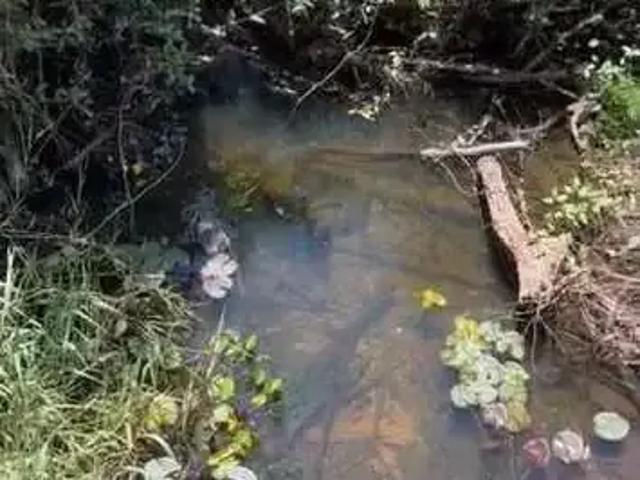 Sítio e chácara venda em Região Geográfica Imediata de Patos de Minas, João Pinheiro