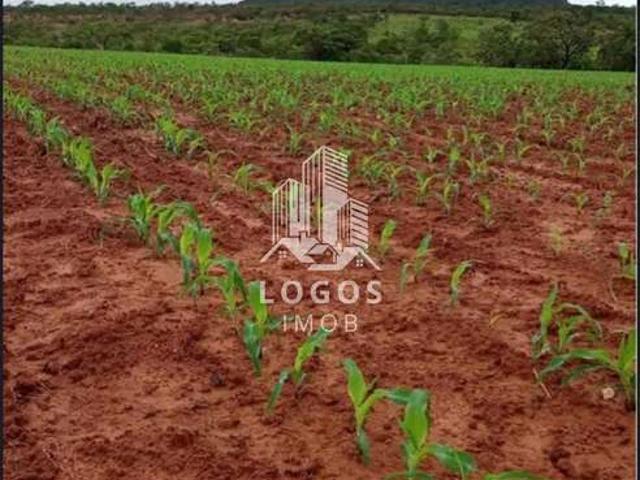 Sítio e chácara venda em João Pinheiro