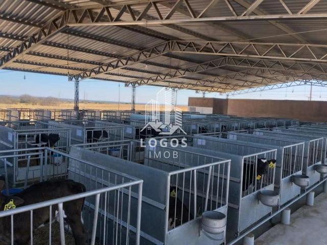 Sítio e chácara venda em João Pinheiro