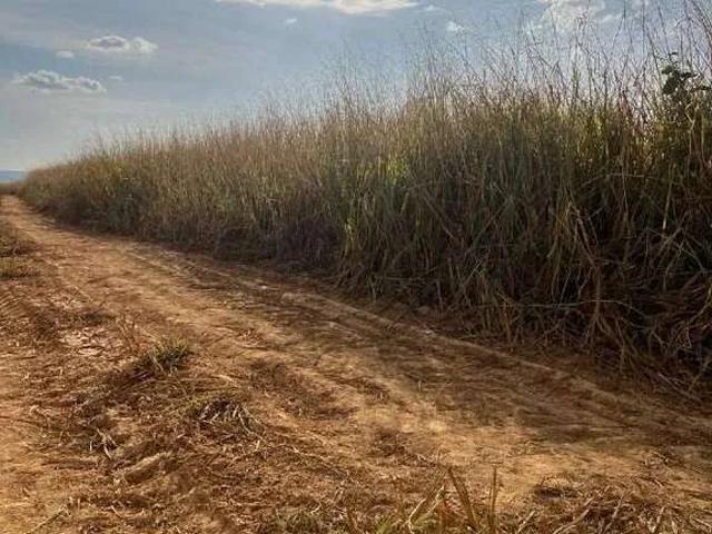 Sítio e chácara venda em João Pinheiro