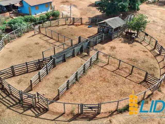 Sítio e chácara venda em Região Geográfica Imediata de Patos de Minas, João Pinheiro
