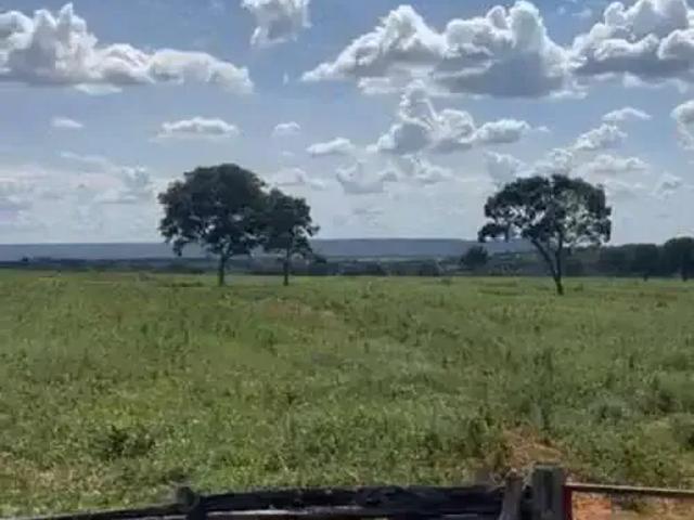 Sítio e chácara venda em Região Geográfica Imediata de Patos de Minas, João Pinheiro