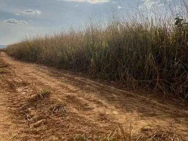 Sítio e chácara venda em Região Geográfica Imediata de Patos de Minas, João Pinheiro