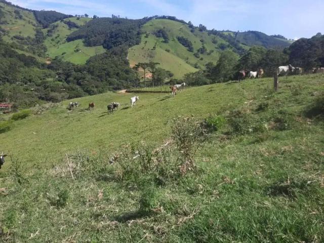 Sítio e chácara venda em Região Imediata de Bragança Paulista, Joanópolis