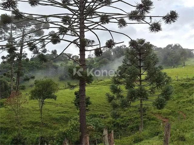 Sítio e chácara venda em Região Imediata de Bragança Paulista, Joanópolis