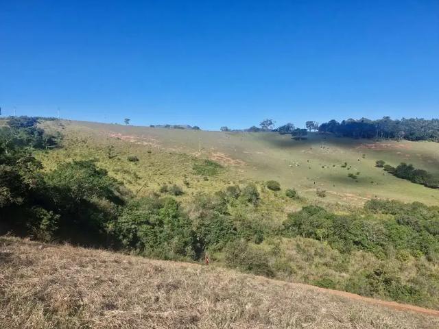 Sítio e chácara venda em Região Imediata de Bragança Paulista, Joanópolis