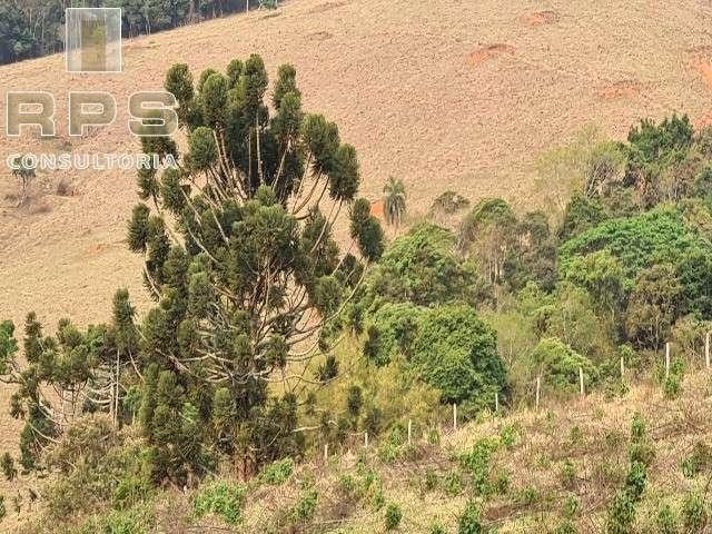 Sítio e chácara venda em Região Imediata de Bragança Paulista, Joanópolis