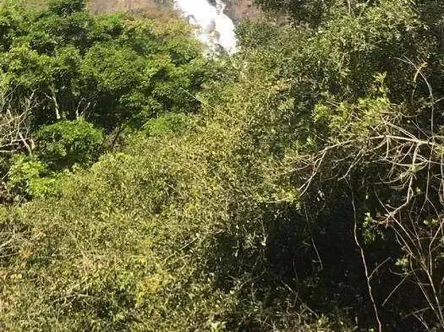 Sítio e chácara venda em Região Imediata de Bragança Paulista, Joanópolis