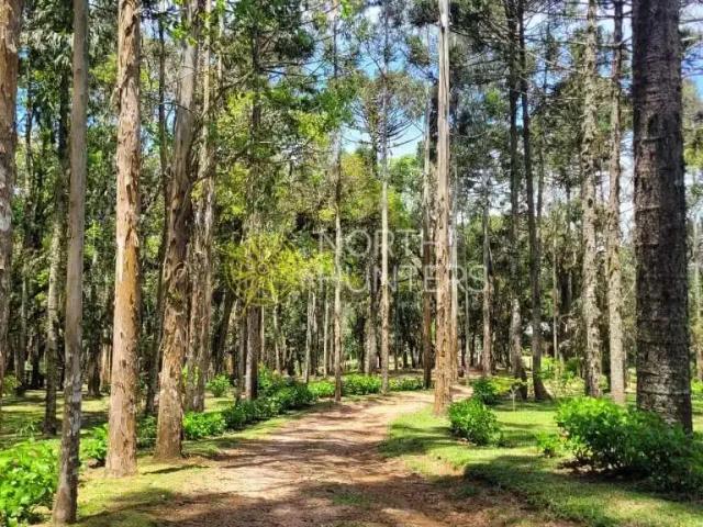 Sítio e chácara venda em Região Geográfica Imediata de Joinville, Joinville