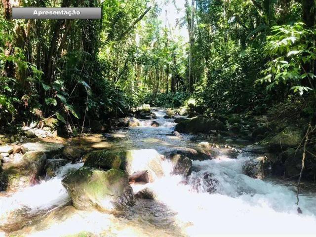 Sítio e chácara venda em Região Geográfica Imediata de Joinville, Joinville