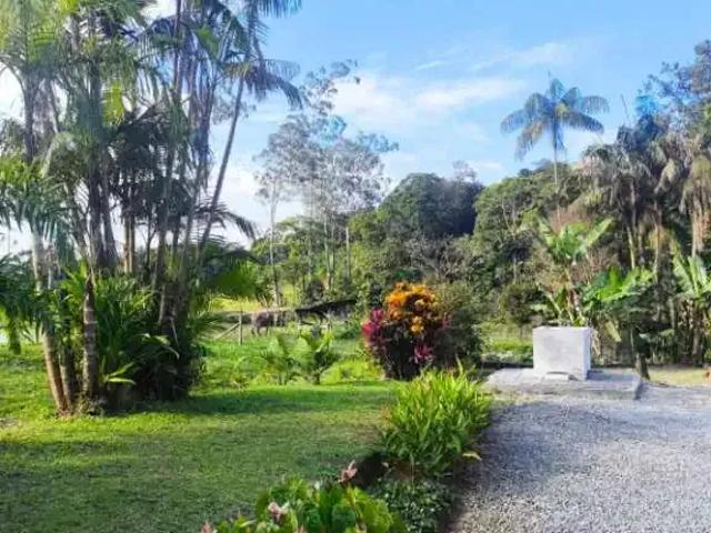 Sítio e chácara venda em Joinville, Região Geográfica Intermediária de Joinville