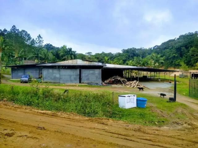 Sítio e chácara venda em Joinville, Região Geográfica Intermediária de Joinville