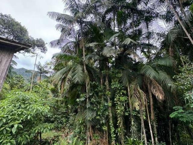 Sítio e chácara venda em Região Geográfica Imediata de Joinville, Joinville