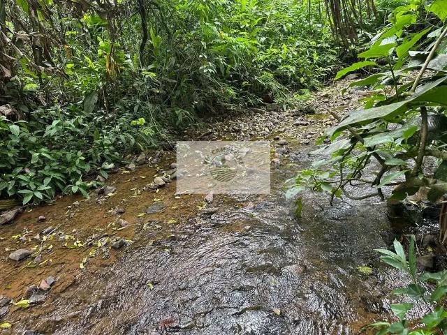 Sítio e chácara venda em Região Geográfica Imediata de Joinville, Joinville