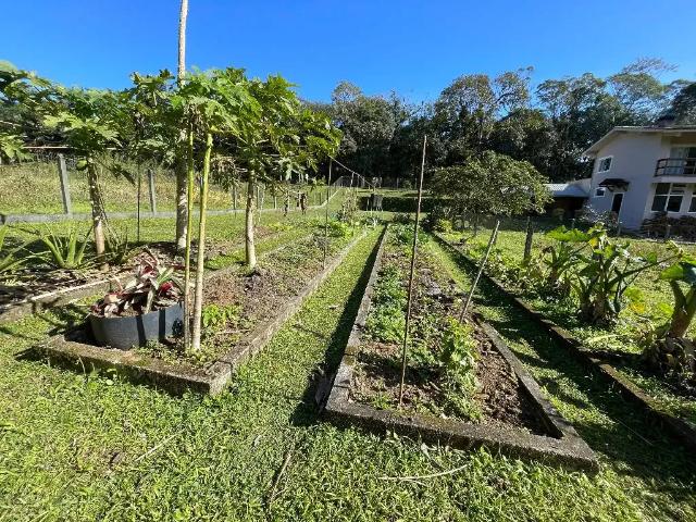 Sítio e chácara venda em Região Geográfica Imediata de Joinville, Joinville