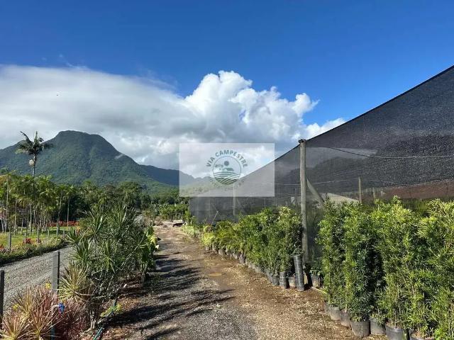 Sítio e chácara venda em Região Geográfica Imediata de Joinville, Joinville