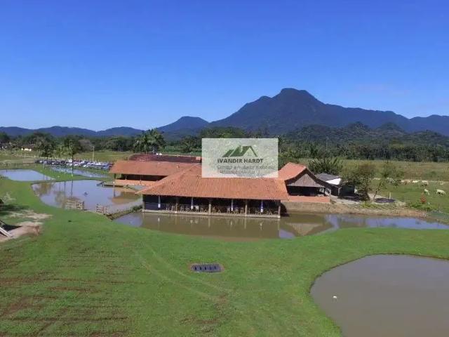 Sítio e chácara venda em Pirabeiraba, Joinville
