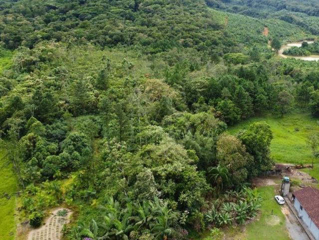 Sítio e chácara venda em Região Geográfica Imediata de Joinville, Joinville