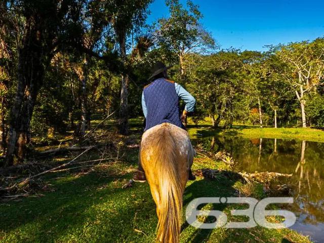 Sítio e chácara venda em Região Geográfica Imediata de Joinville, Joinville