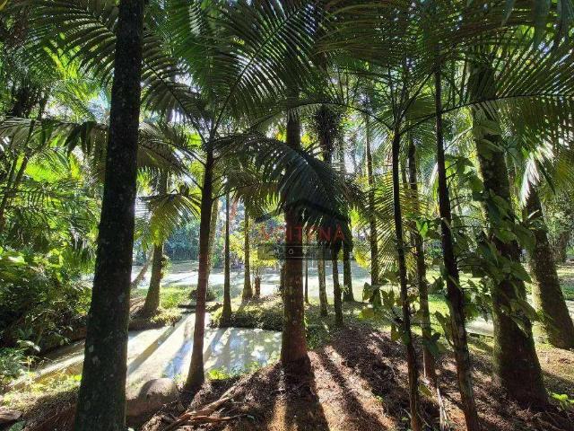 Sítio e chácara venda em Pirabeiraba, Joinville