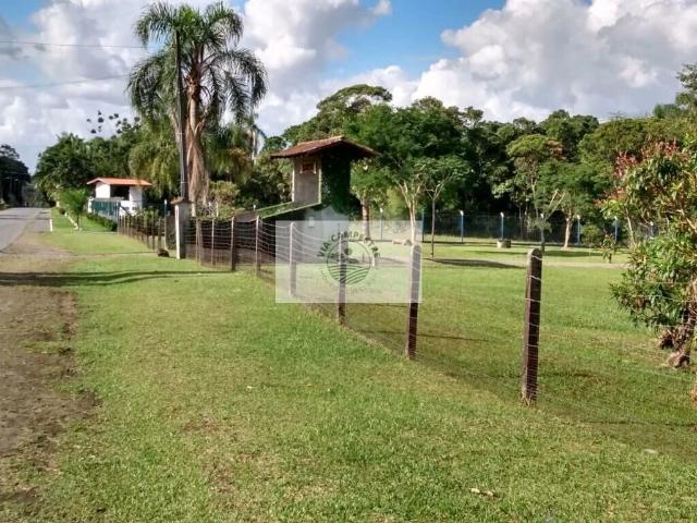 Sítio e chácara venda em Pirabeiraba, Joinville