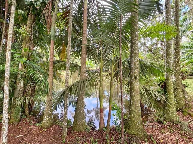 Sítio e chácara venda em Região Geográfica Imediata de Joinville, Joinville