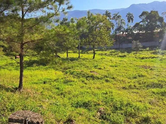 Sítio e chácara venda em Joinville, Região Geográfica Intermediária de Joinville