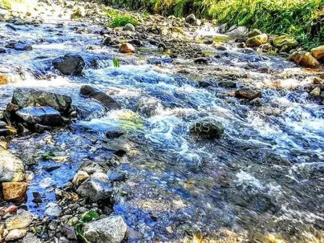 Sítio e chácara venda em Região Geográfica Imediata de Joinville, Joinville
