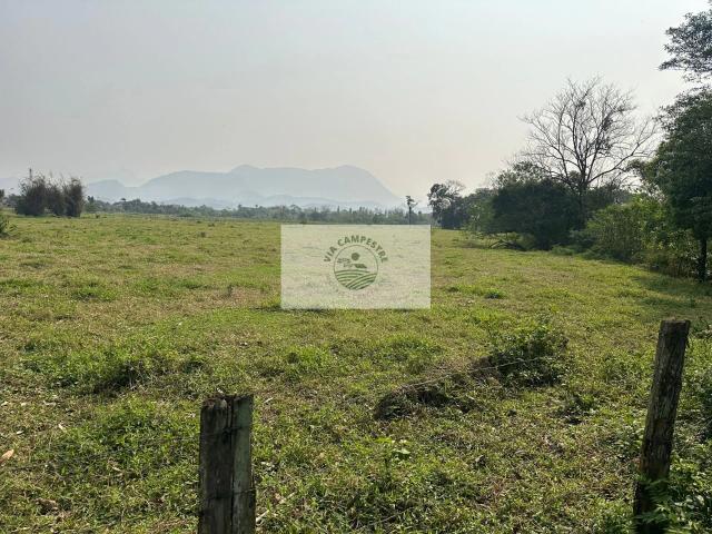 Sítio e chácara venda em Pirabeiraba, Joinville