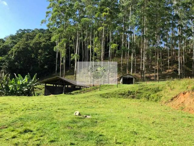 Sítio e chácara venda em Região Geográfica Imediata de Joinville, Joinville