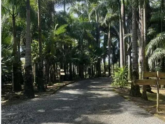 Sítio e chácara venda em Região Geográfica Imediata de Joinville, Joinville