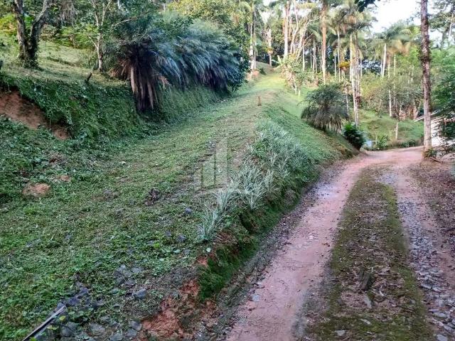 Sítio e chácara venda em Joinville, Região Geográfica Intermediária de Joinville