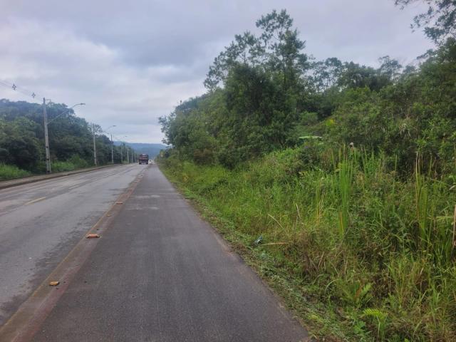 Sítio e chácara venda em Vigorelli, Joinville