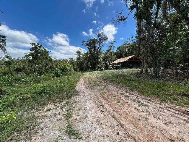 Sítio e chácara venda em Joinville, Região Geográfica Intermediária de Joinville
