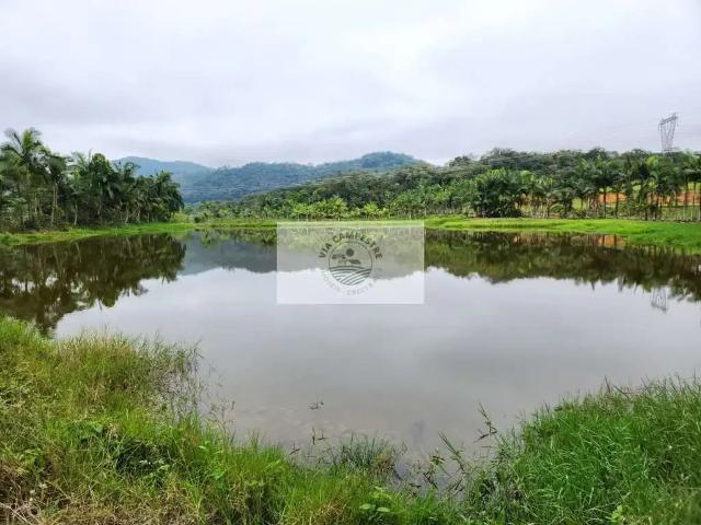 Sítio e chácara venda em Região Geográfica Imediata de Joinville, Joinville