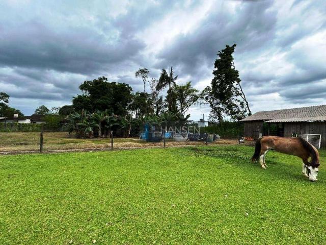 Sítio e chácara venda em Pirabeiraba, Joinville