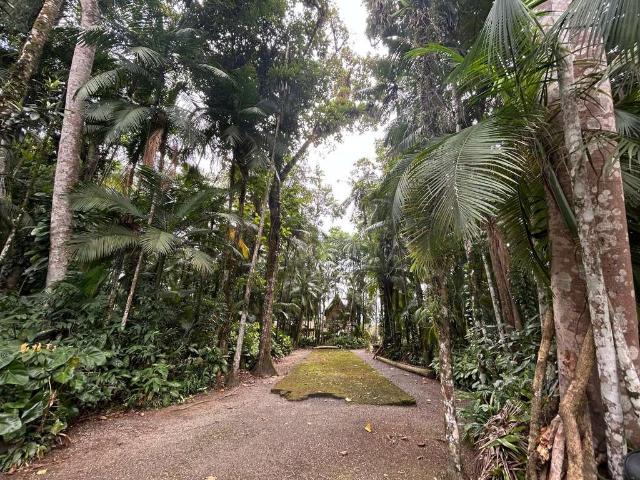 Sítio e chácara venda em Vila Nova, Joinville