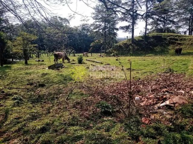 Sítio e chácara venda em Região Geográfica Imediata de Joinville, Joinville