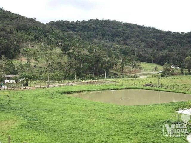 Sítio e chácara venda em Centro, Joinville