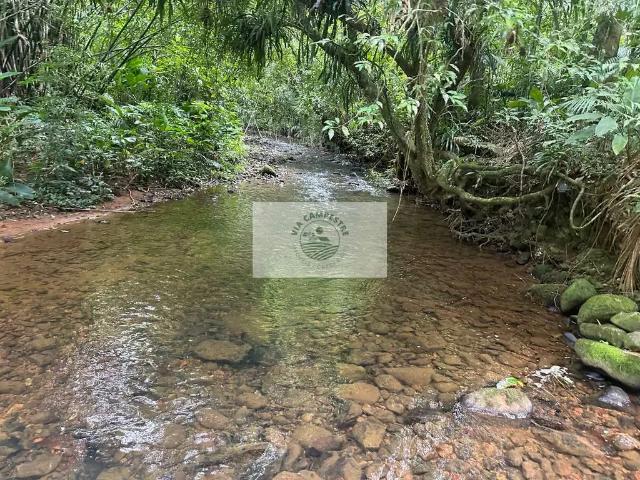 Sítio e chácara venda em Joinville, Região Geográfica Intermediária de Joinville