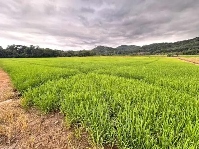 Sítio e chácara venda em Joinville, Região Geográfica Intermediária de Joinville