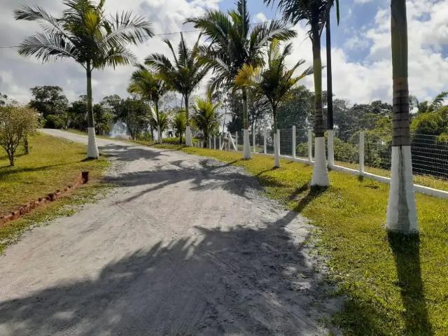 Sítio e chácara venda em Região Geográfica Imediata de Joinville, Joinville