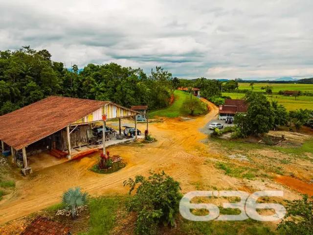 Sítio e chácara venda em Região Geográfica Imediata de Joinville, Joinville
