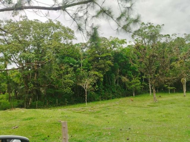 Sítio e chácara venda em Região Geográfica Imediata de Joinville, Joinville