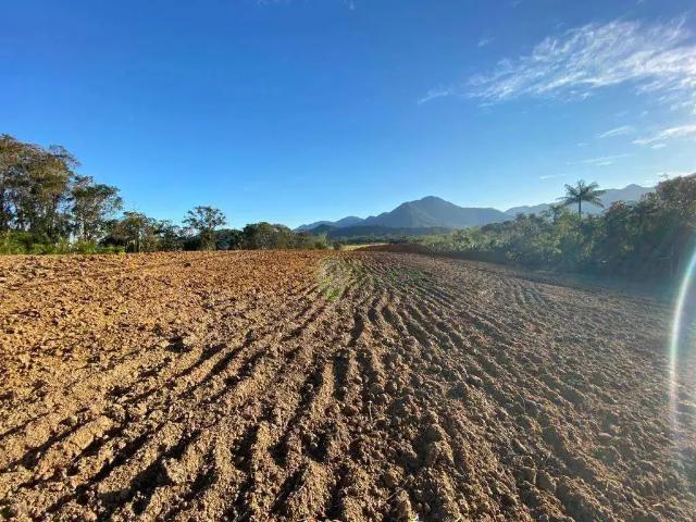 Sítio e chácara venda em Região Geográfica Imediata de Blumenau, Blumenau
