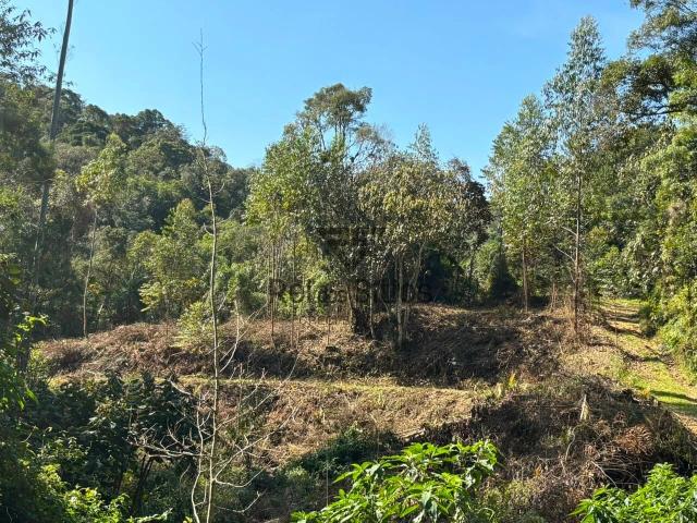 Sítio e chácara venda em José Boiteux, Região Geográfica Intermediária de Blumenau