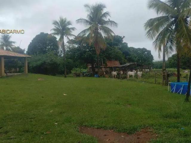 Sítio e chácara venda em Região Imediata de São José do Rio Preto, Região Metropolitana de São José do Rio Preto