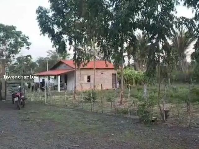 Sítio e chácara venda em Região Geográfica Imediata de Teresina, Região Integrada de Desenvolvimento da Grande Teresina